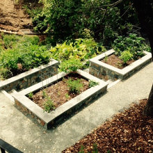 PDLT back yard project