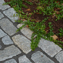 Walkways