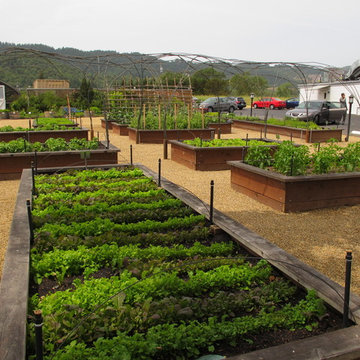 Vegetable gardens