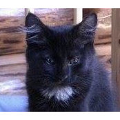 Laurie Doscher's photo