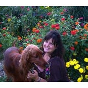 Amy Baitinger's photo