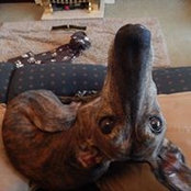 Angie Wright's photo