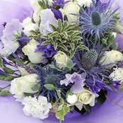 Liz Horton's photo