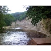 Thomas Young's photo