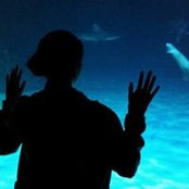 Kathleen Clark's photo