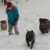 Amy Amos's photo