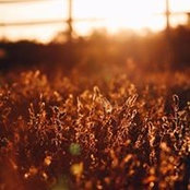 Iva Basa's photo