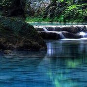 Vicki Null's photo