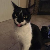 Robert Henderson's photo