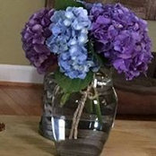 Anita B. Stewart's photo