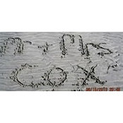 Foto von Chantal Cox