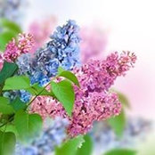 Sherry Slocum's photo
