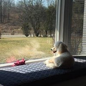 Carlya Sentelle's photo
