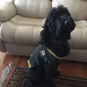 Shelly Strine's photo