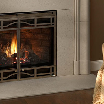 Novus nXt Gas Fireplace