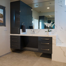 Schenk Primary Bath Vanity ideas