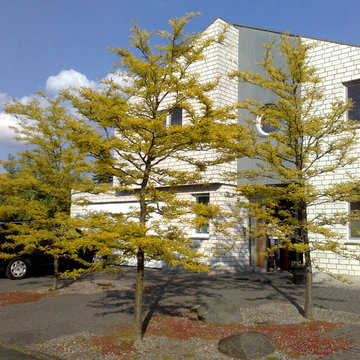 Garten in Mönchengladbach