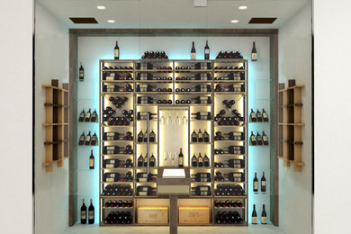 Transitional wine cellar photo in Miami