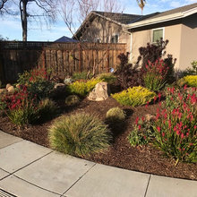 Paver ideas