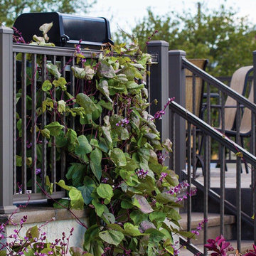 Aluminum Deck Railing