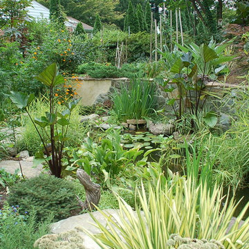 Secluded Garden with Koi Pond