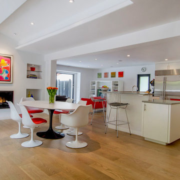Midcentury modern open kitchen
