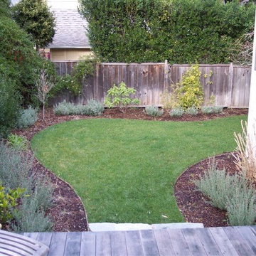 Landscape Design & Installation