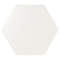 Evolution Hexagon Ceramic Subway Wall Tile, White Matte