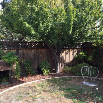 The Lawn Goodbye & Hello To A New Inviting Spaces By Kim