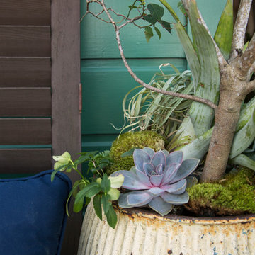 At Home with the Author of The Plant Recipe Book