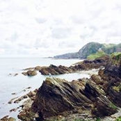 Justin Leslie's photo