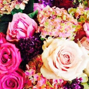 creativeflorist's photo