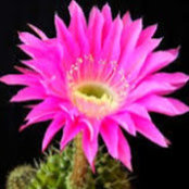 monica ouellette's photo