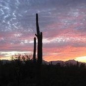Carol Jones's photo