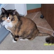 Deb Nykolaishyn's photo