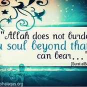 Zeenath Naushad's photo