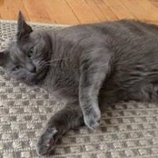 Siobhan Farina's photo