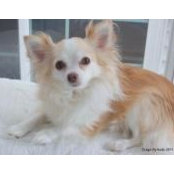 Kim Riddell's photo