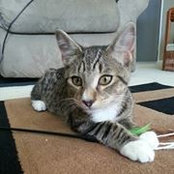 Tina Maclean-Burton's photo