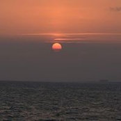 Michelle Wade's photo