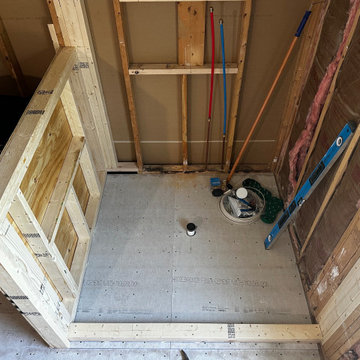 Upcoming Ann Arbor Master Bathroom