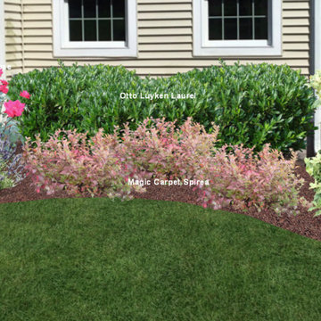 Foundation Plantings