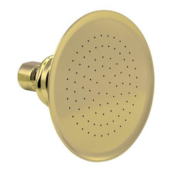 Watering Can Showerhead | Polished Brass - Showerheads And Body Sprays