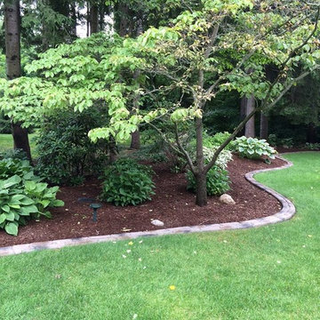 Our Work