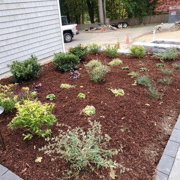Front Paver Walk and Plantings