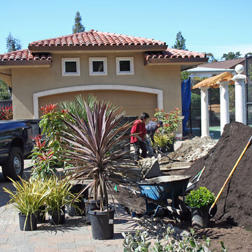 EXAMPLES OF WORK