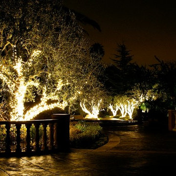 Holiday Lighting - 2014 Season