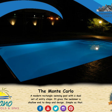 The Monte Carlo