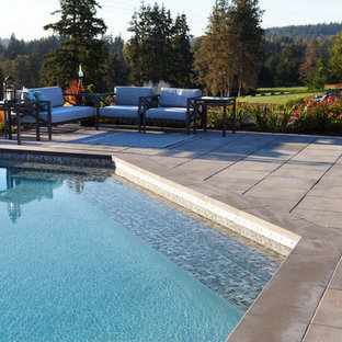 Bellevue Contemporary Poolside and Landscape
