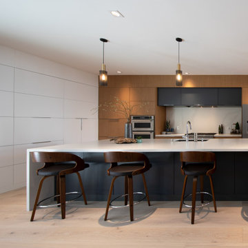 Interior Remodel, Evergreen, San Jose